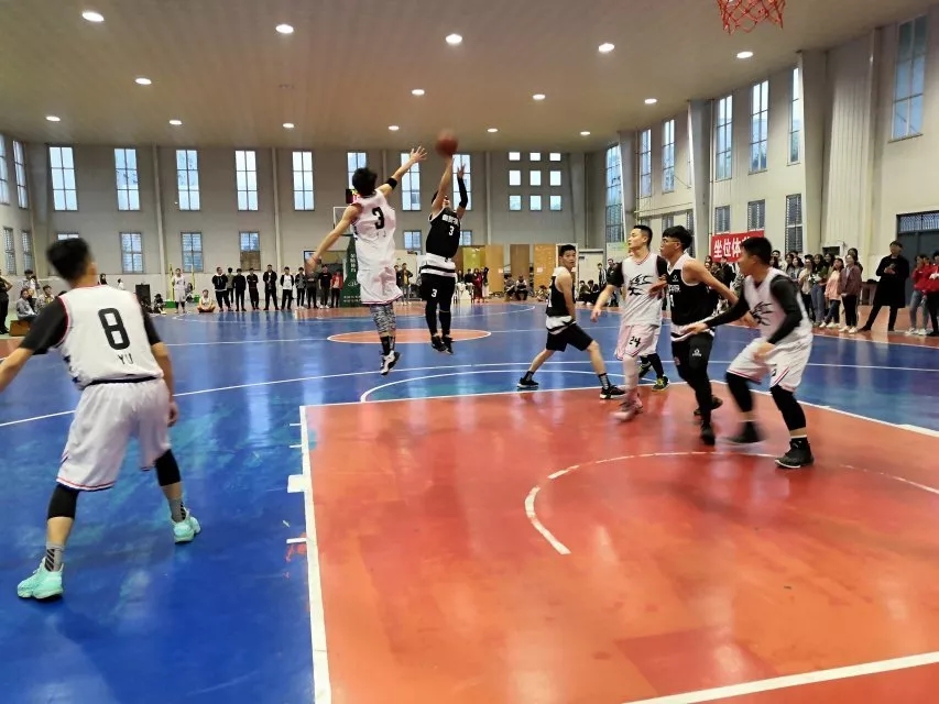 篮球赛 (3).jpg