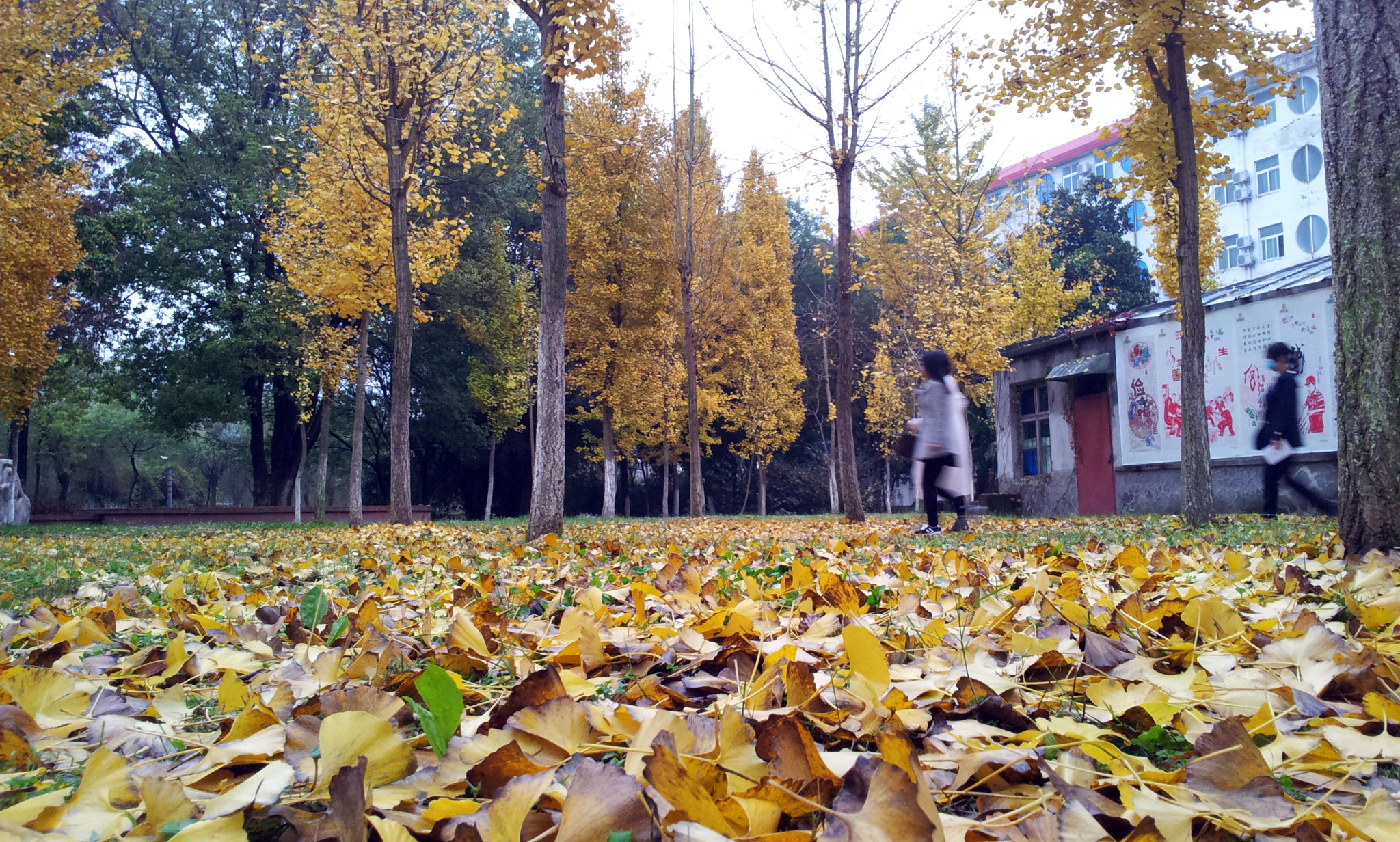 20151123_075327.jpg