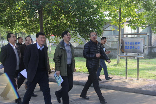 绿化4.jpg
