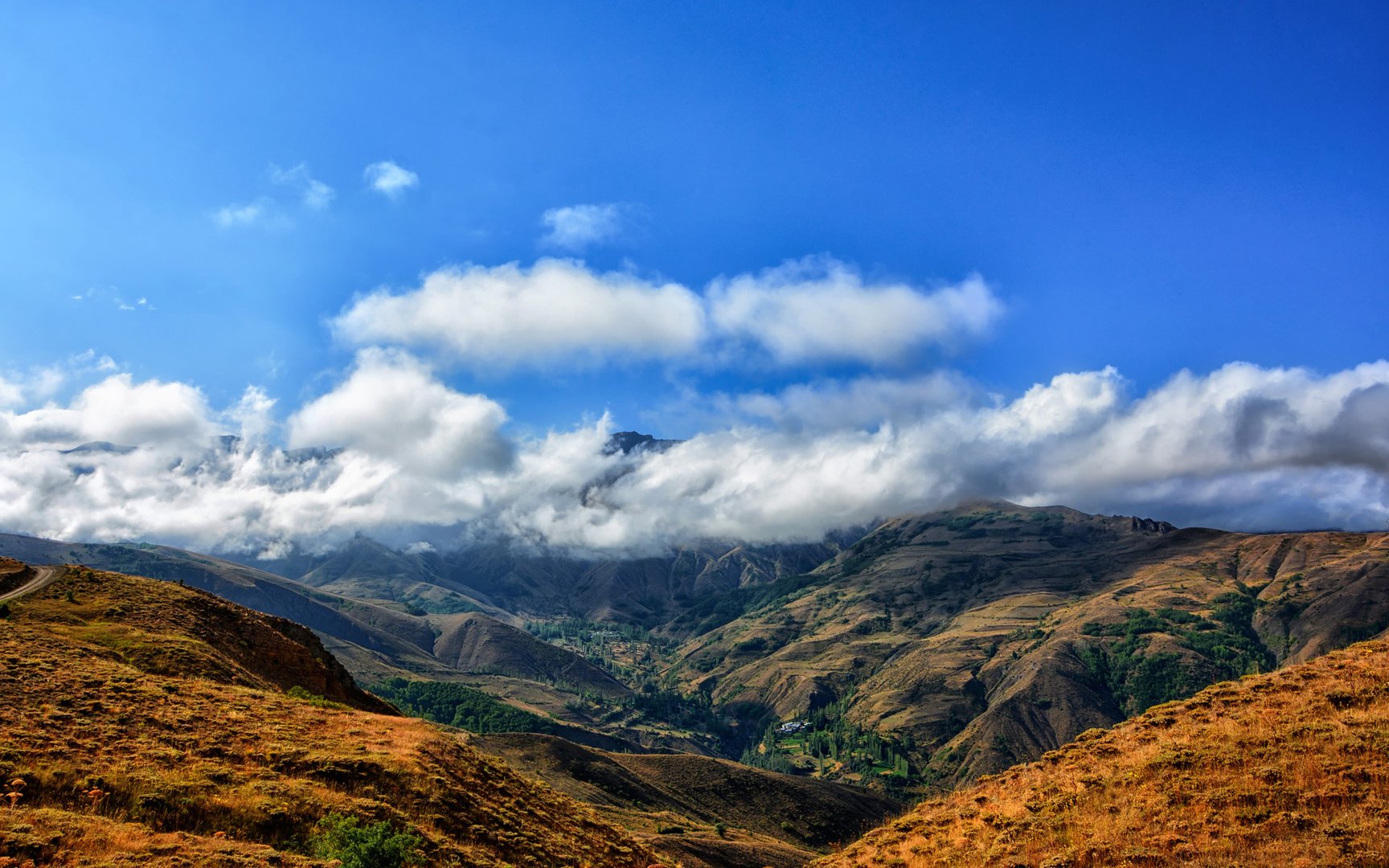 t0116adf1156e0515d8.jpg